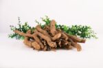 200g 胡椒根 200g Pepper Root - Image 2